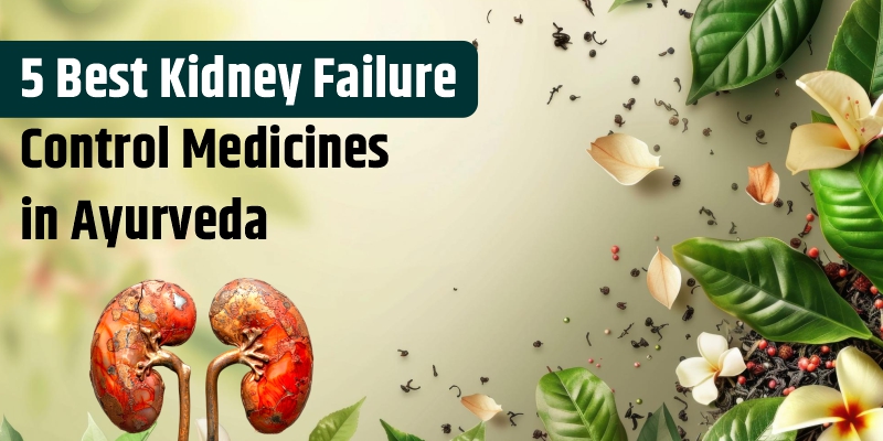 5 Best Kidney Failure Control Medicines in Ayurveda